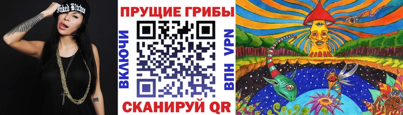 Галлюциногенные грибы Psilocybine cubensis  купить   Нурлат 